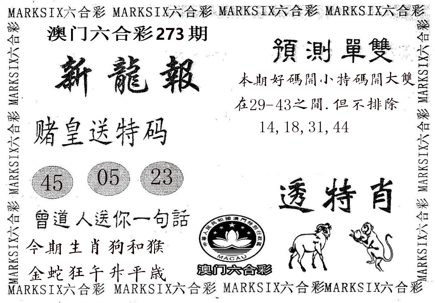 新龙报 第273期