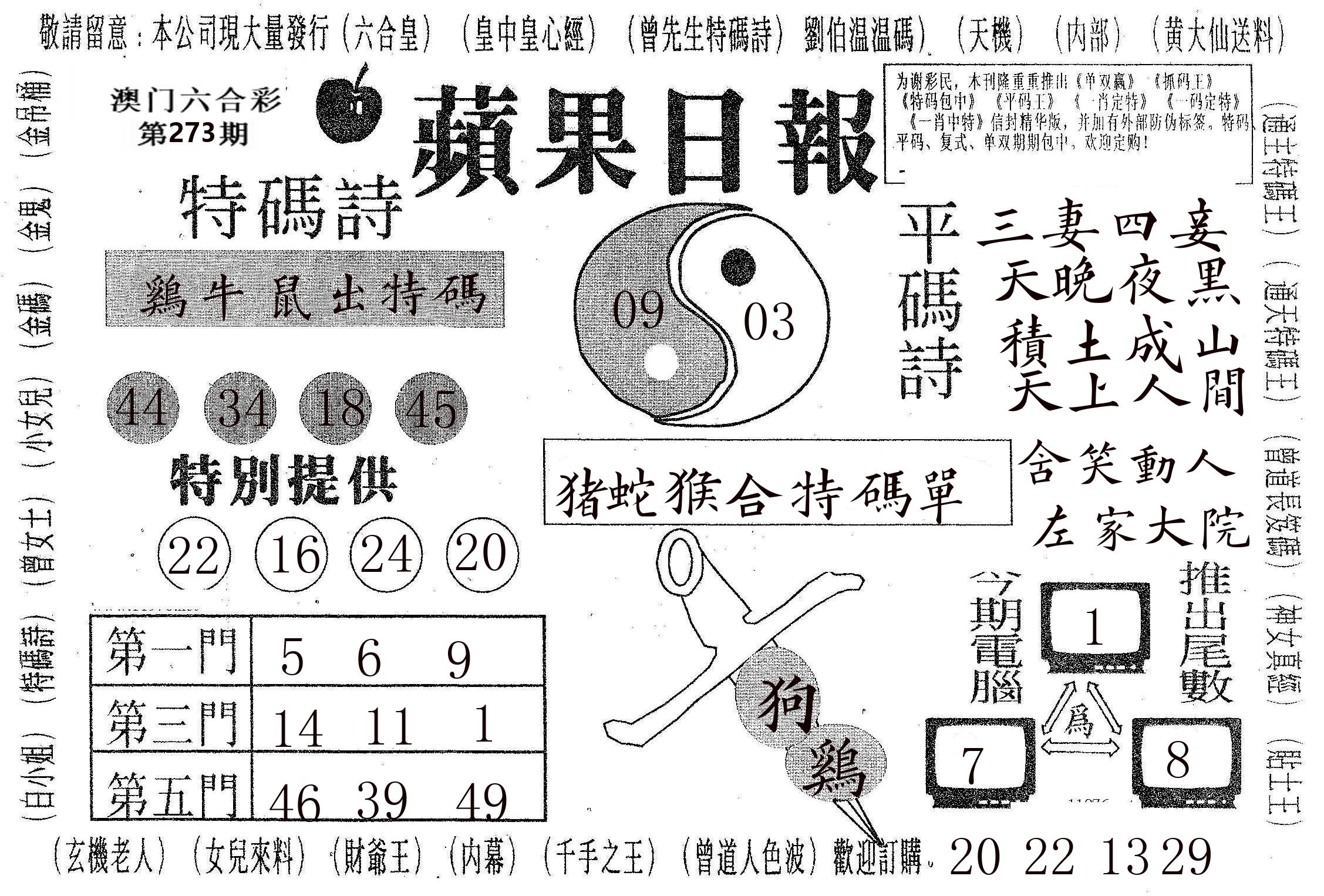 新苹果日报 第273期