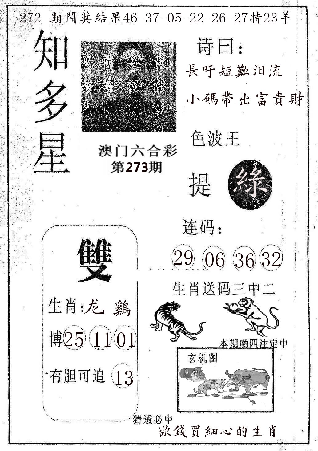 知多星 第273期