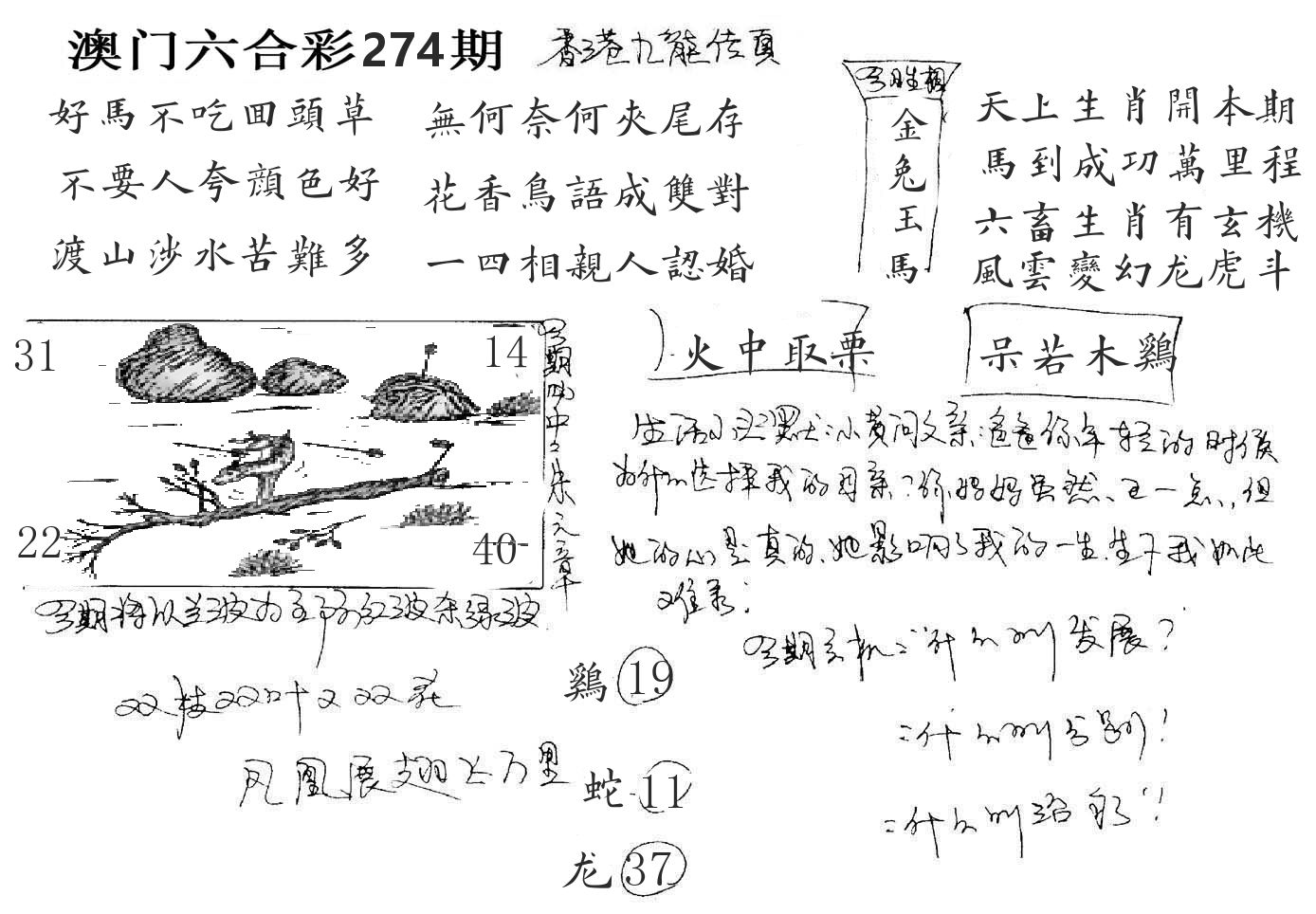 澳门手写九龙 第274期