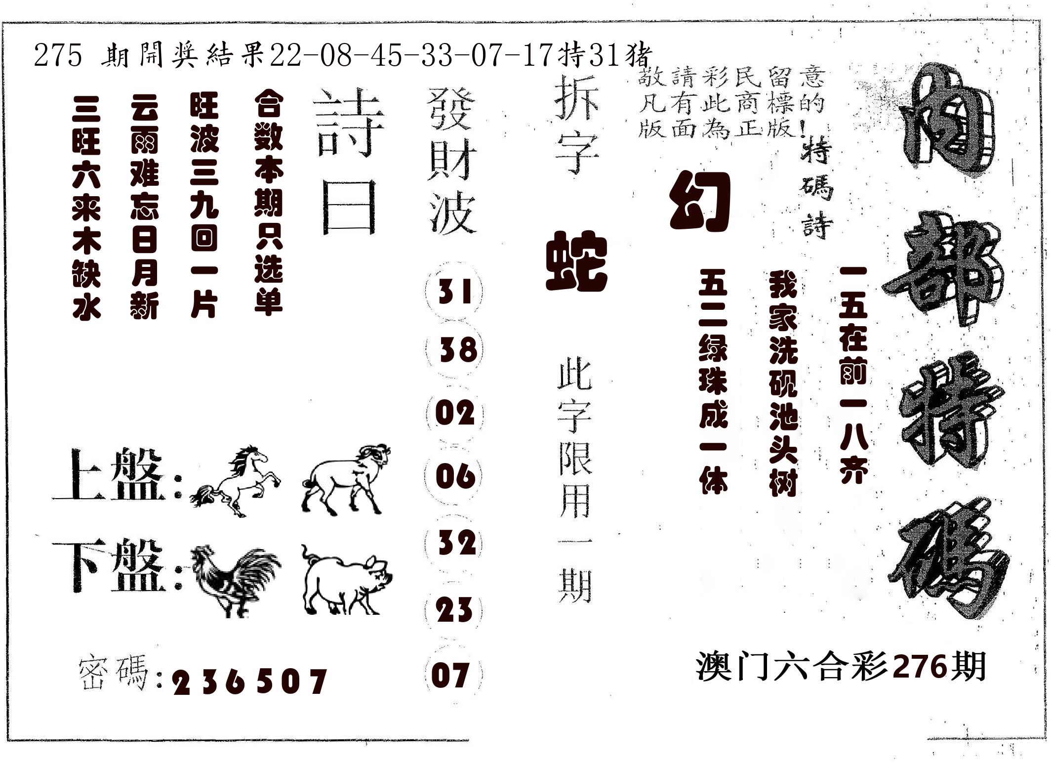 内部特码 第276期