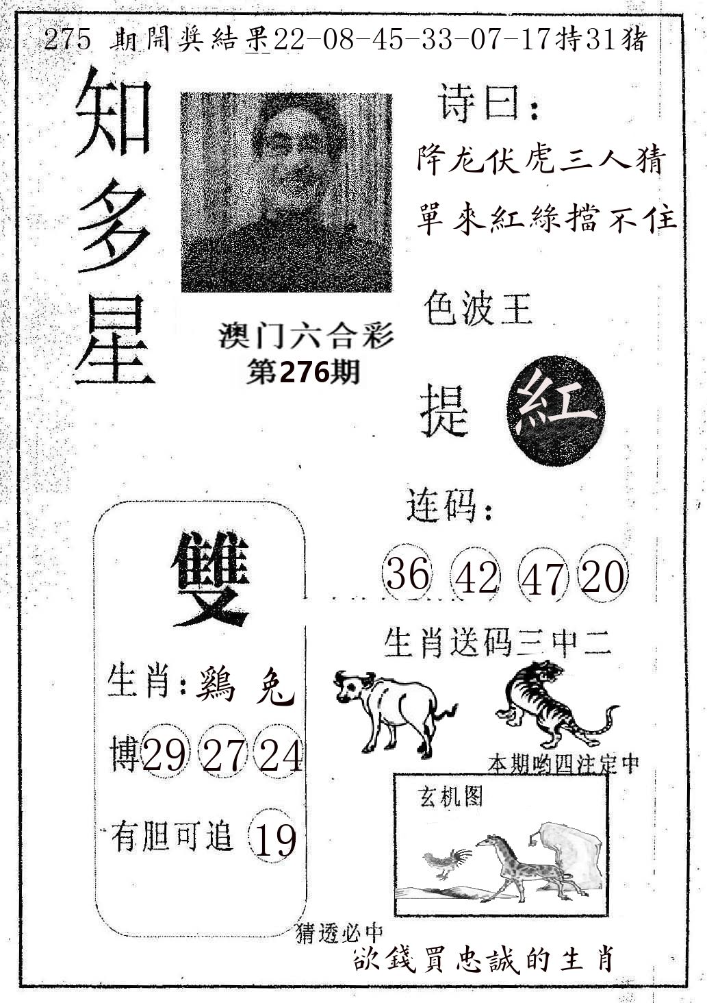 知多星 第276期