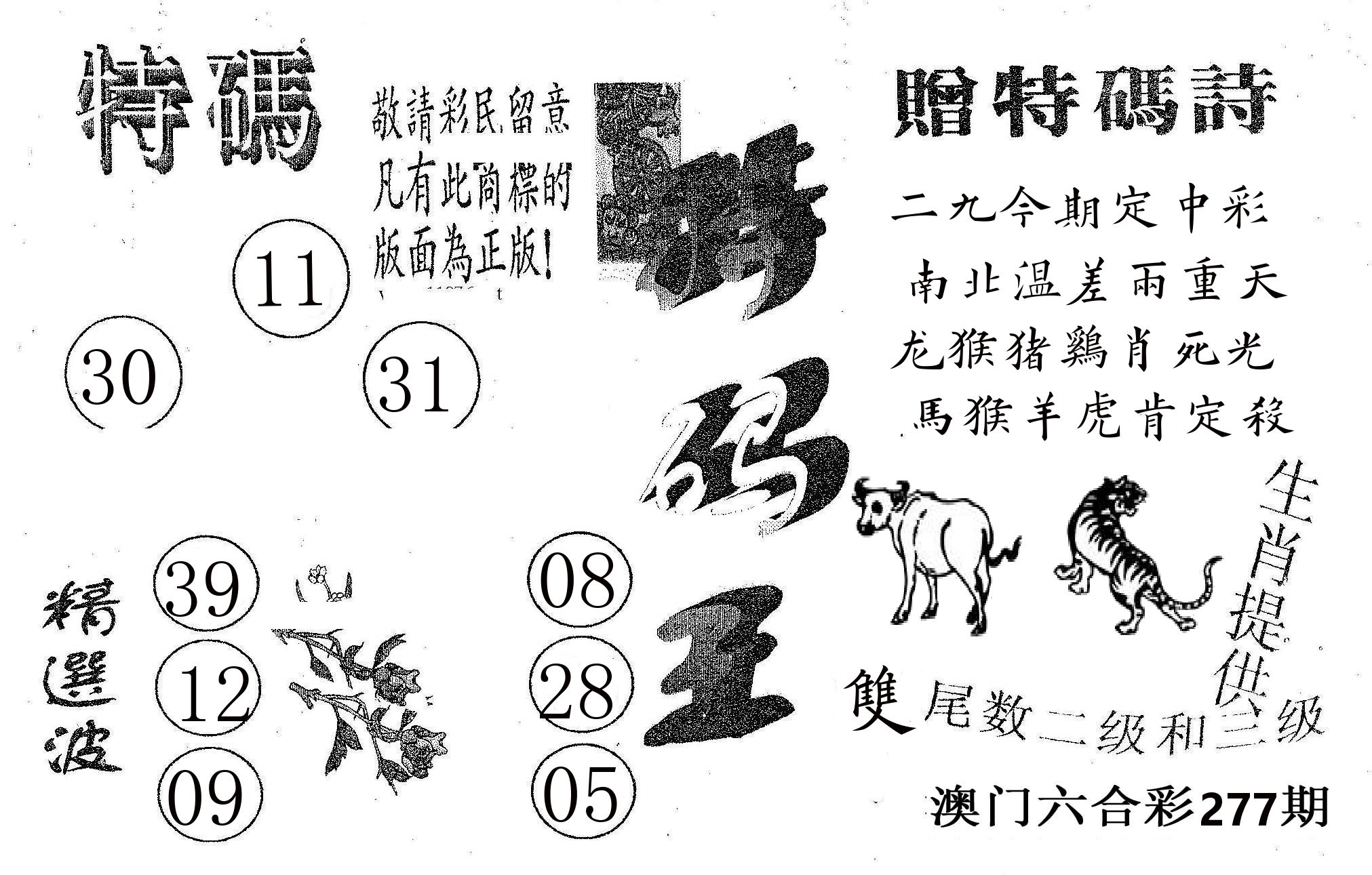 特码王A 第277期