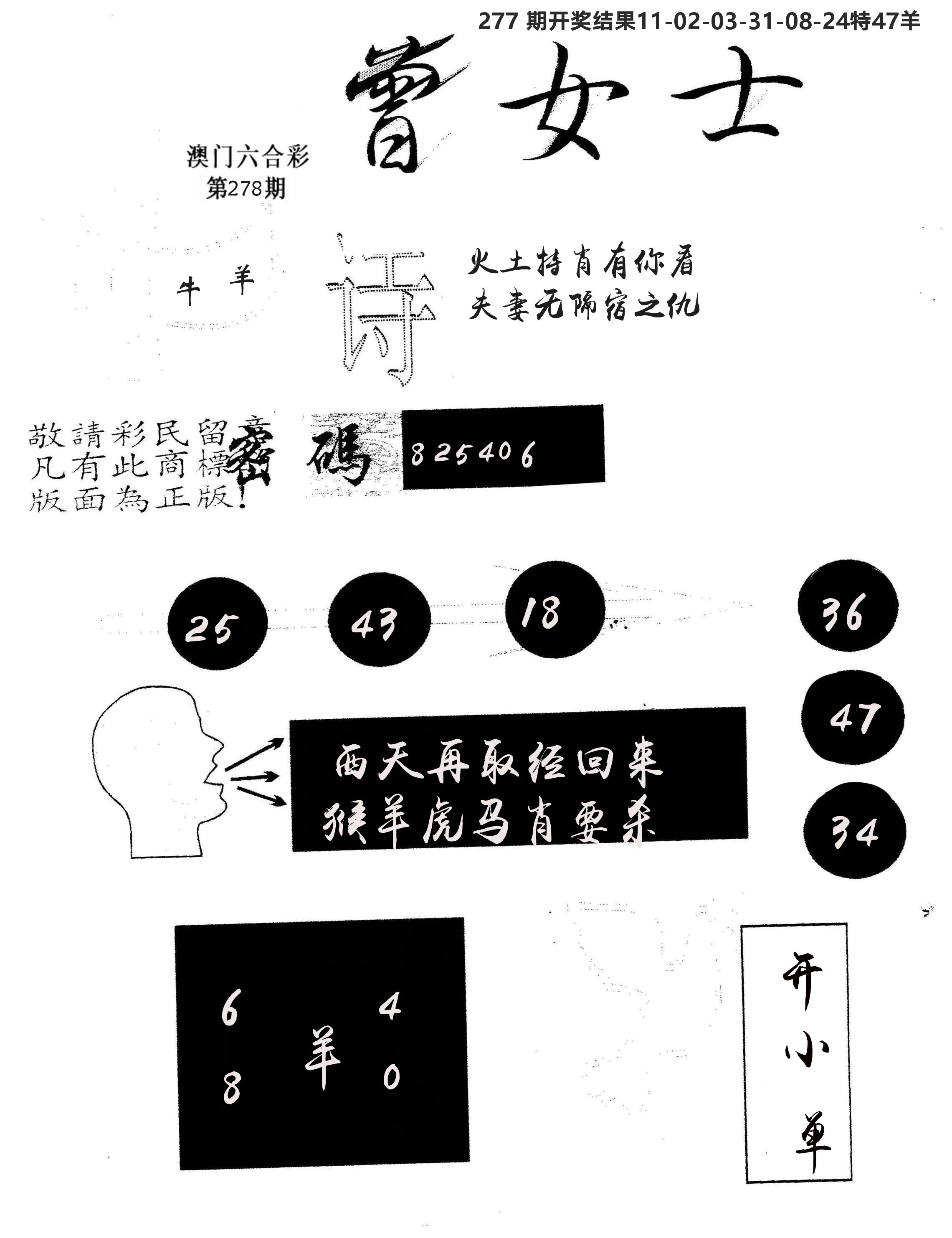 另版曾女士百灵鸟 第278期