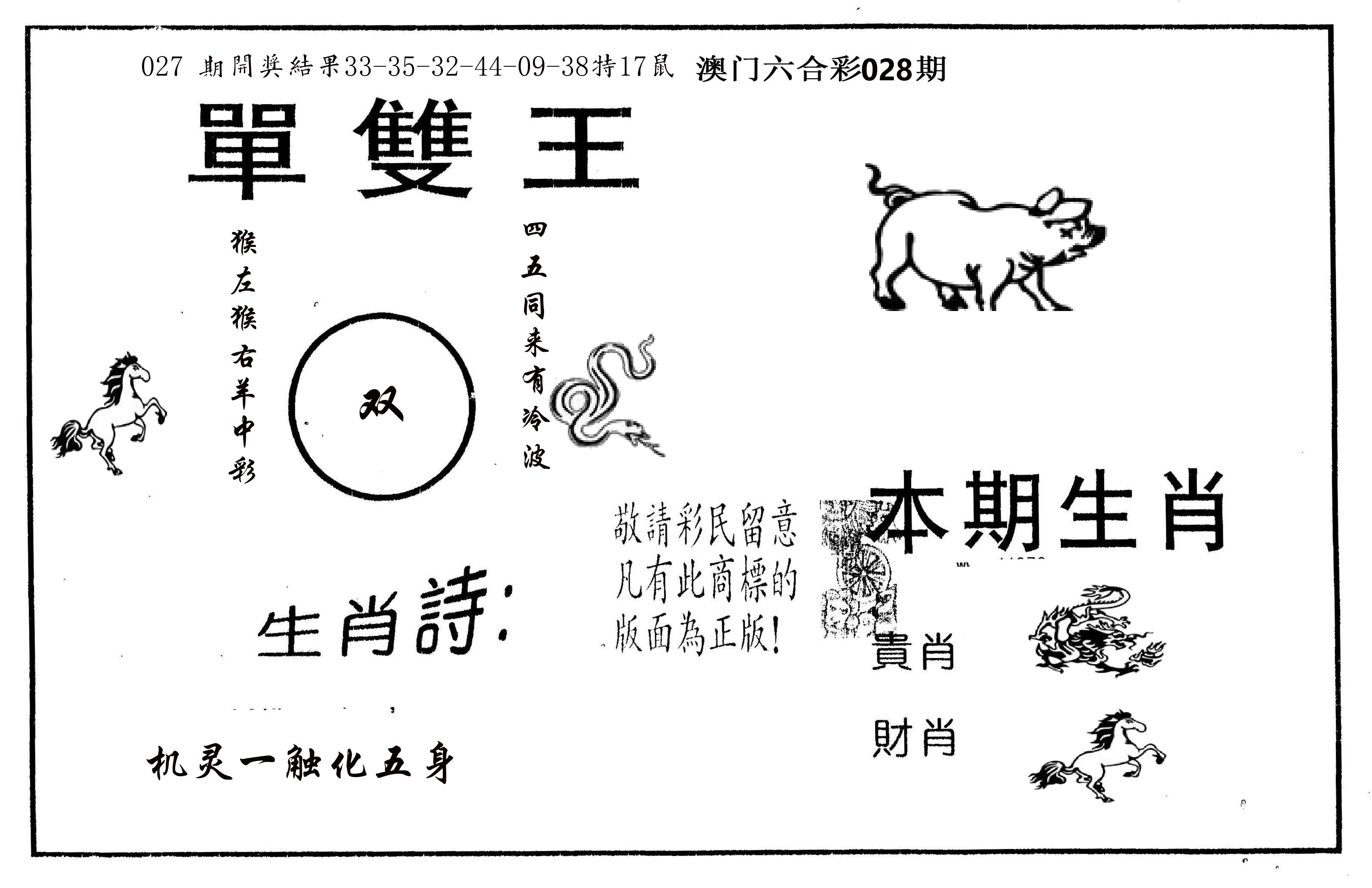 单双王A 第28期