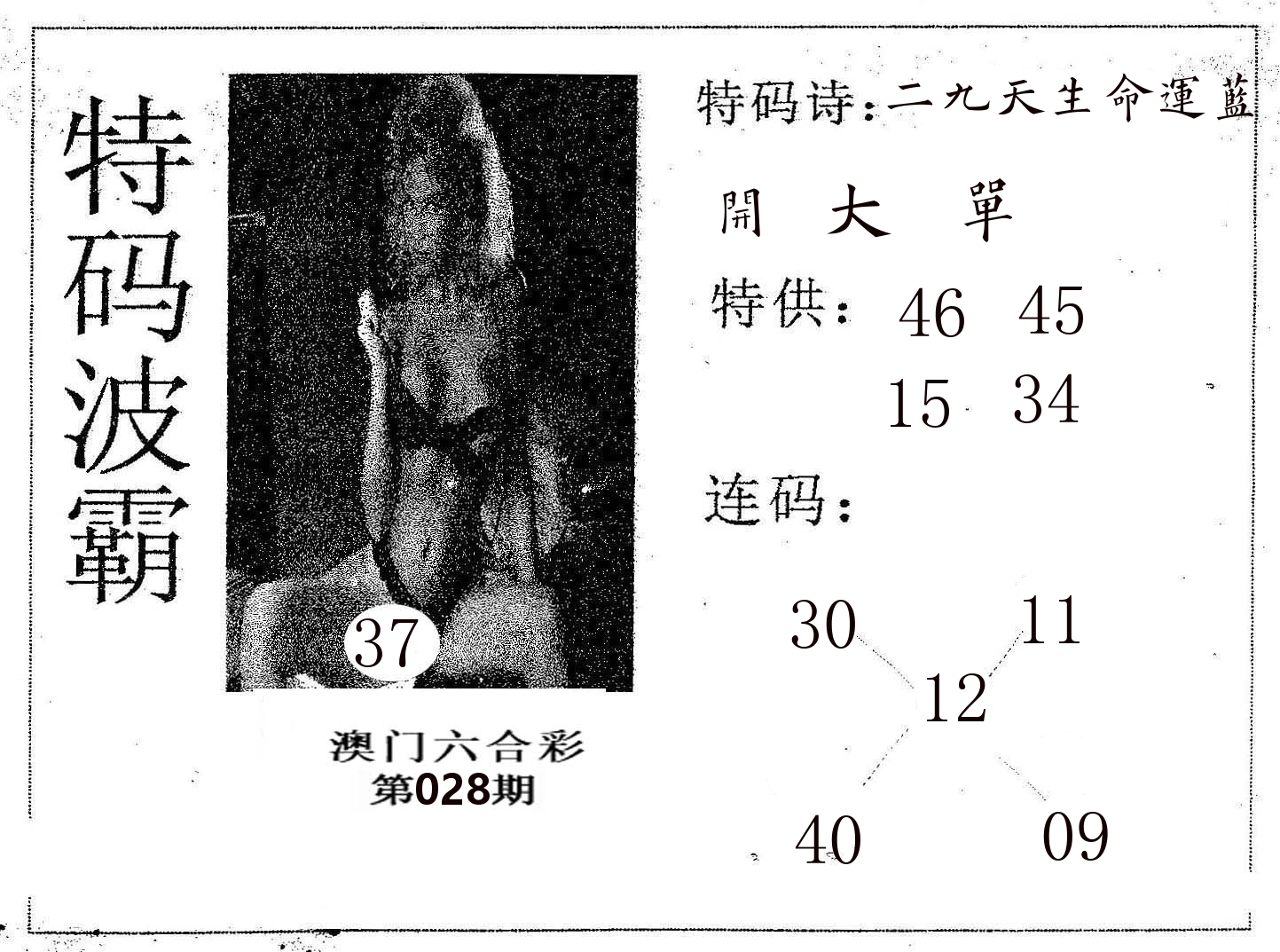 特码波霸 第28期