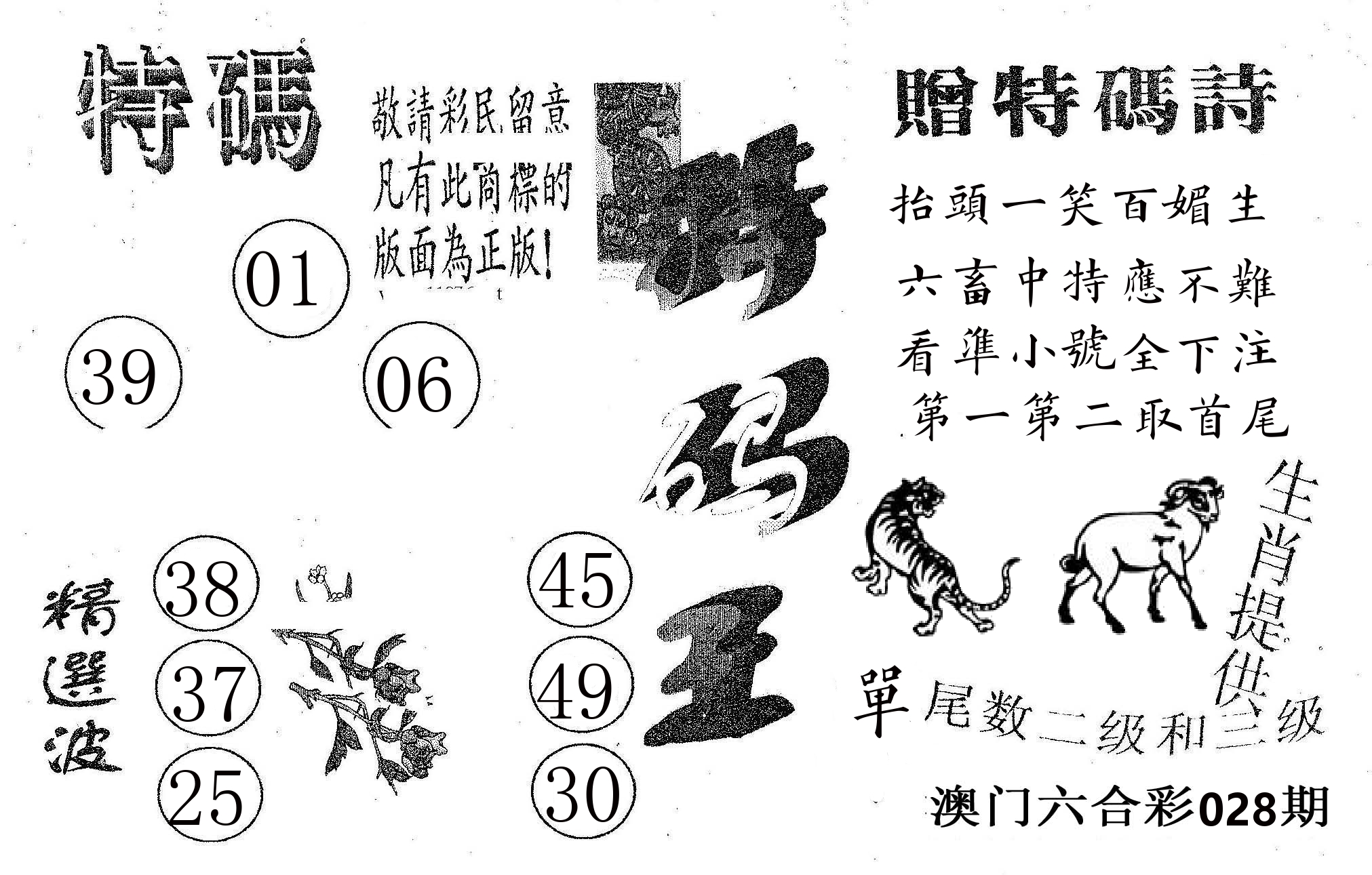 特码王A 第28期