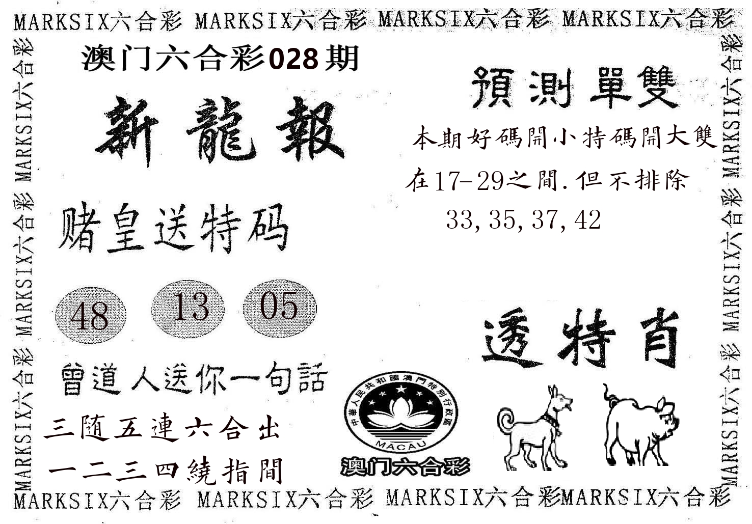 新龙报 第28期