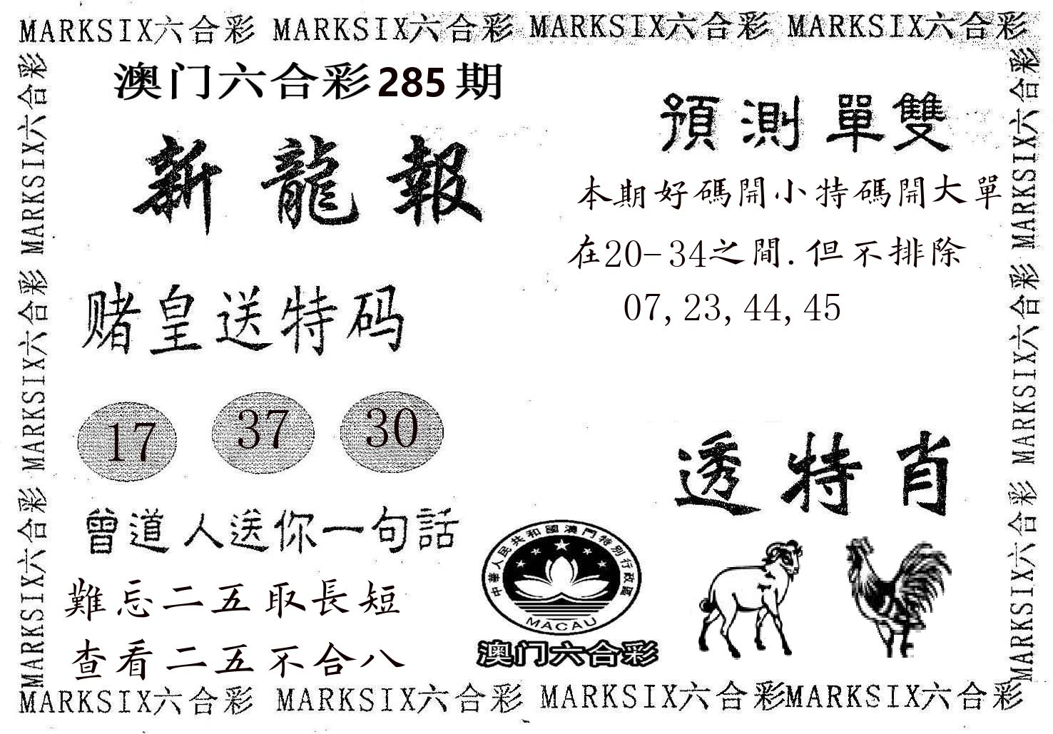 新龙报 第285期
