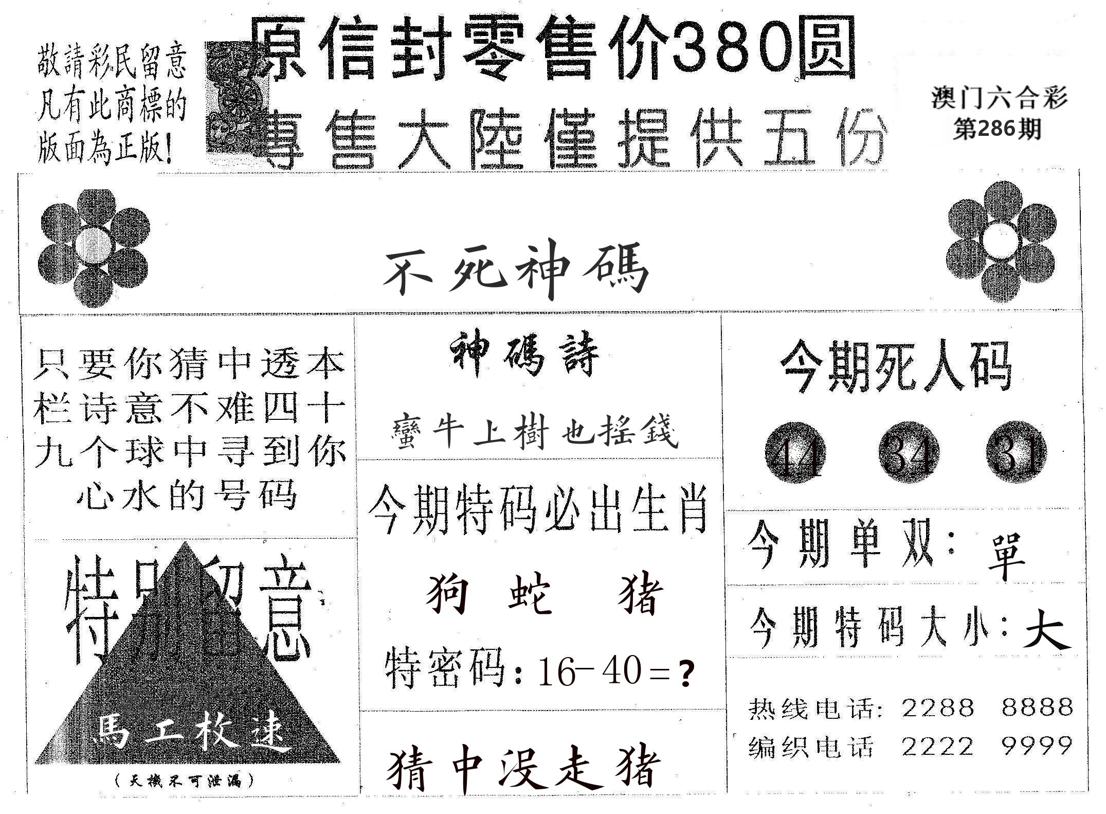 不死码A 第286期