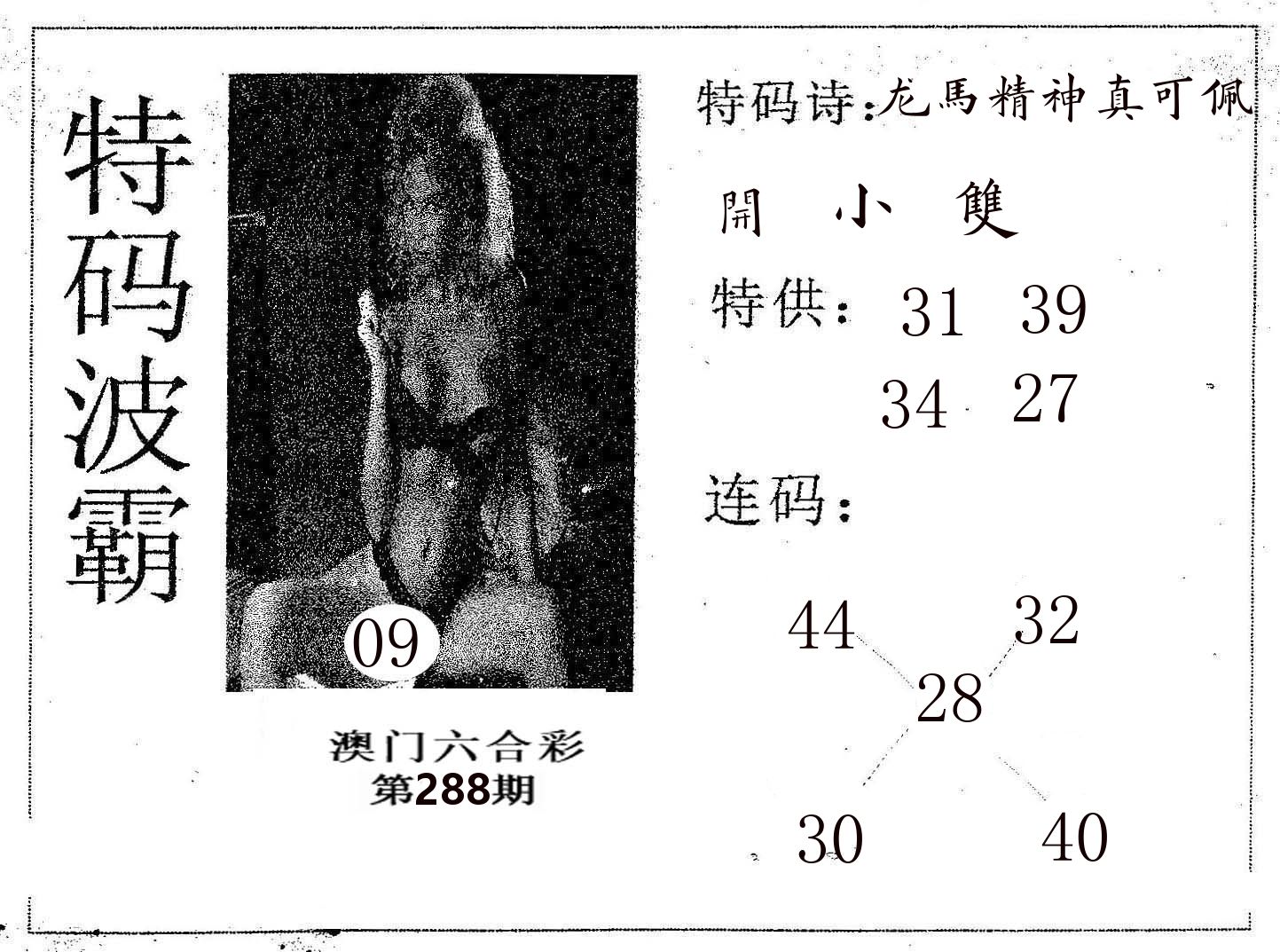特码波霸 第288期