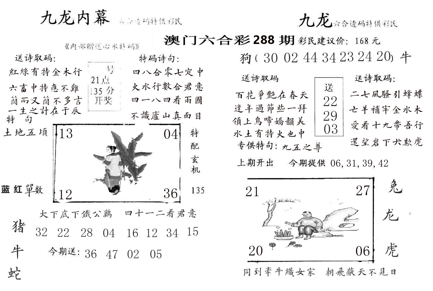 九龙内幕 第288期