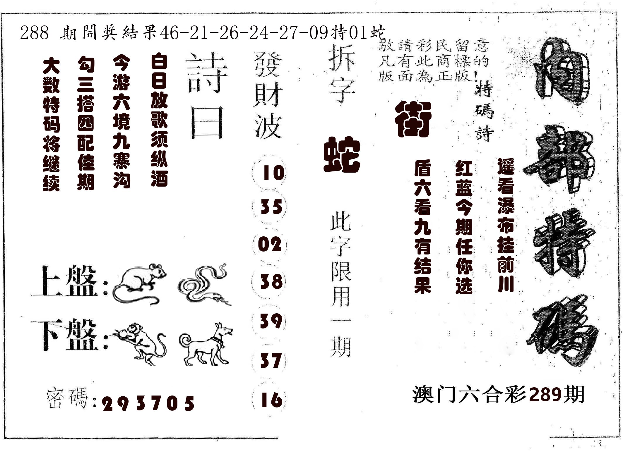 内部特码 第289期
