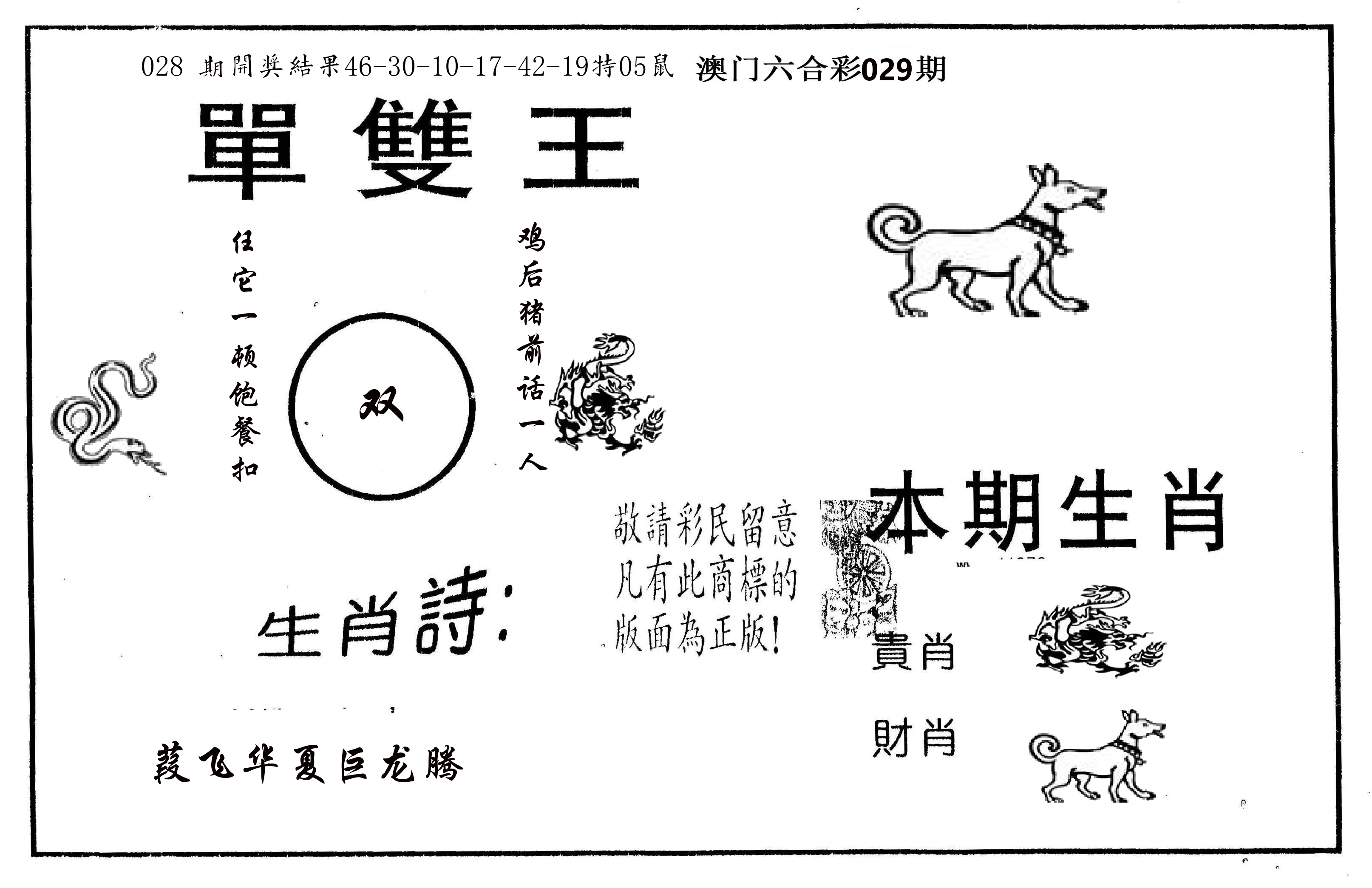 单双王A 第29期