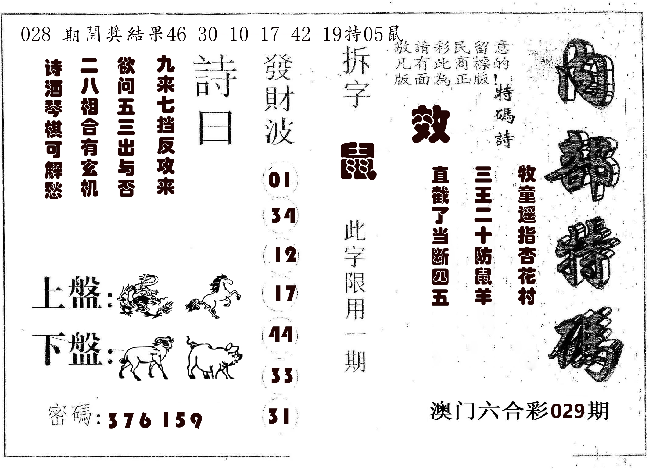 内部特码 第29期