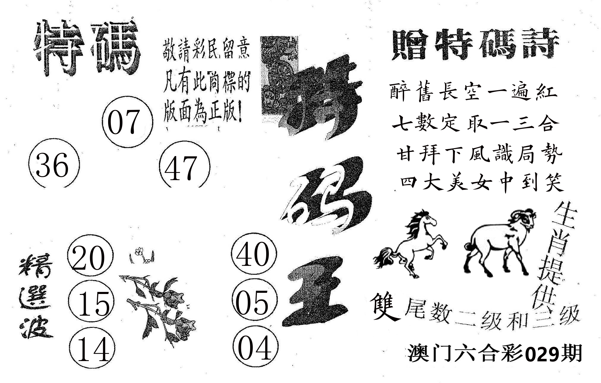 特码王A 第29期