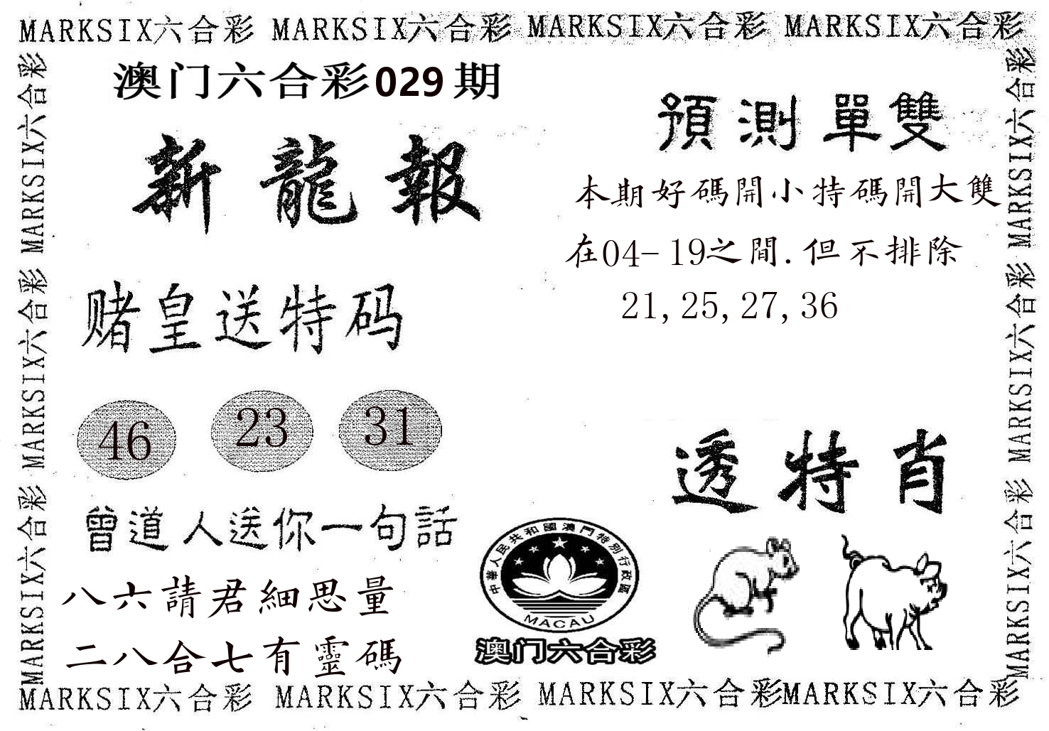 新龙报 第29期