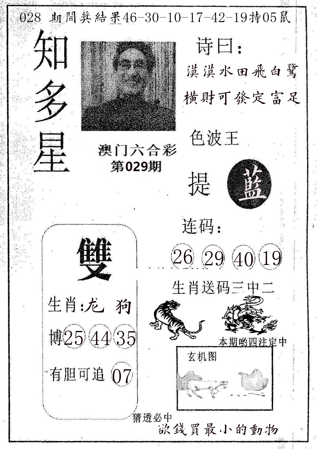 知多星 第29期