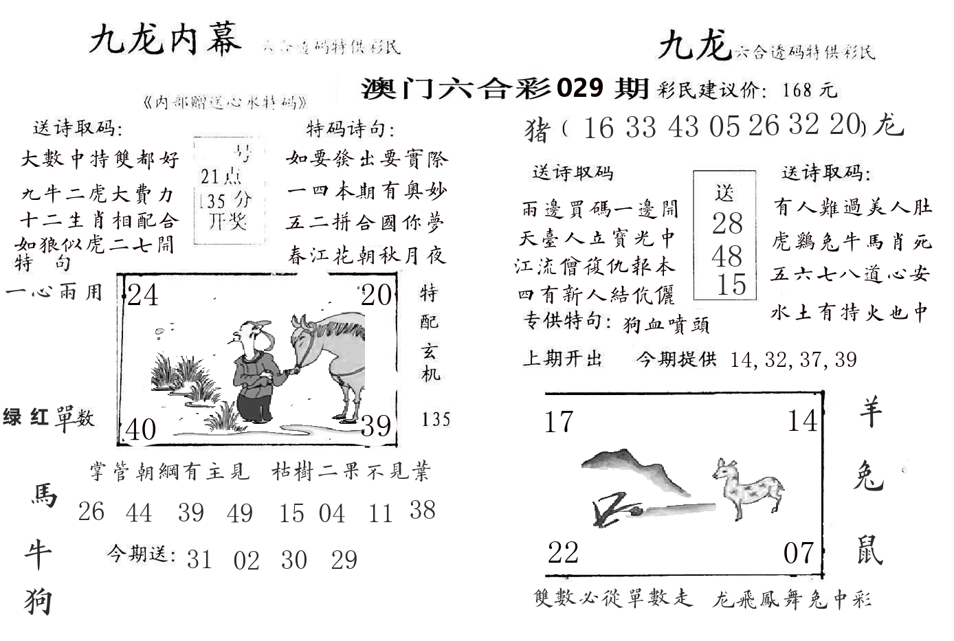 九龙内幕 第29期