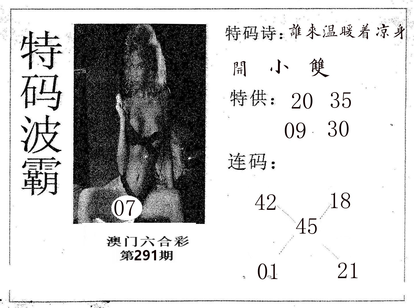 特码波霸 第291期
