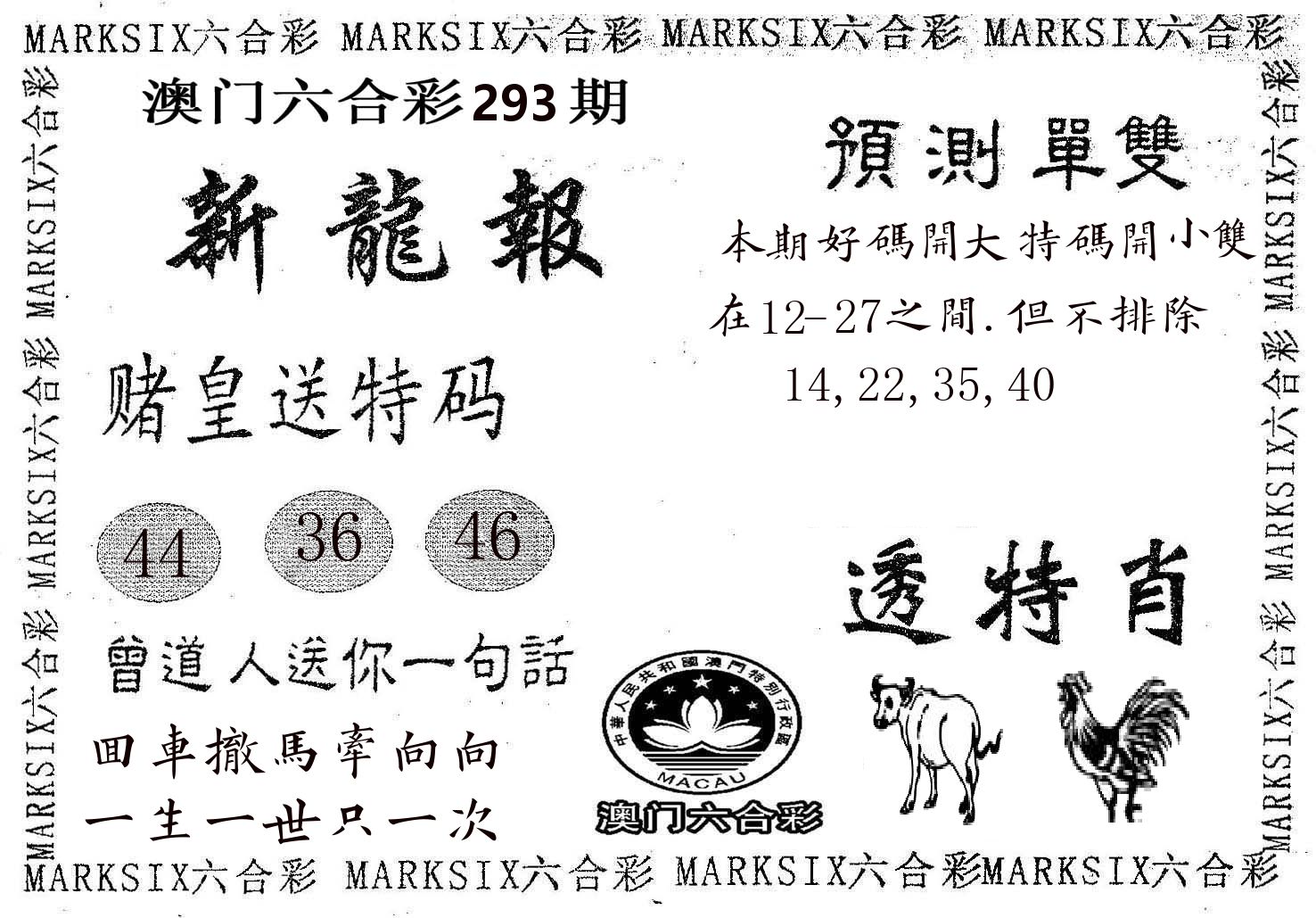 新龙报 第293期