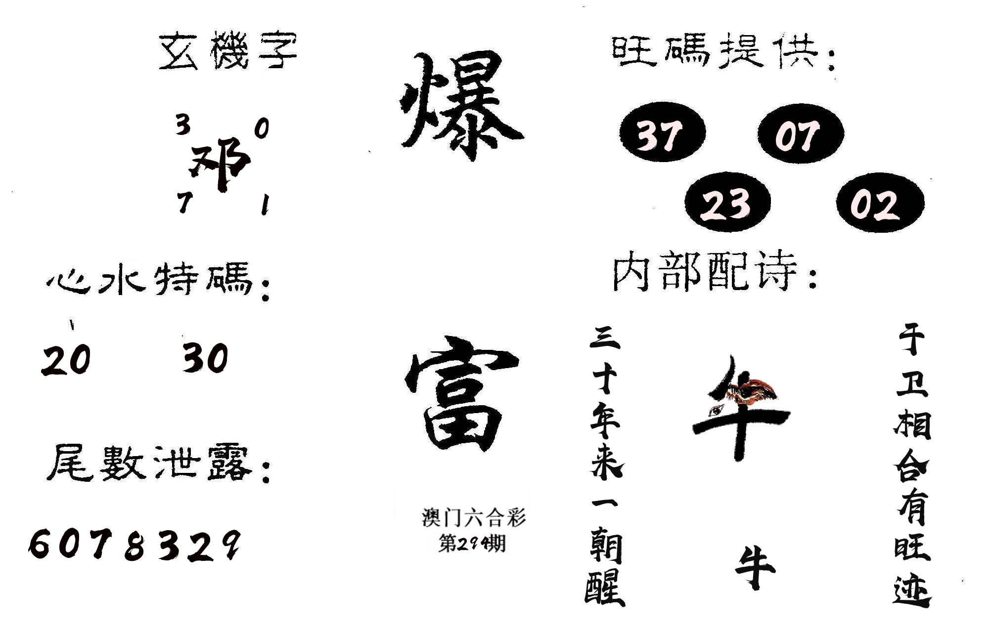 爆富 第294期