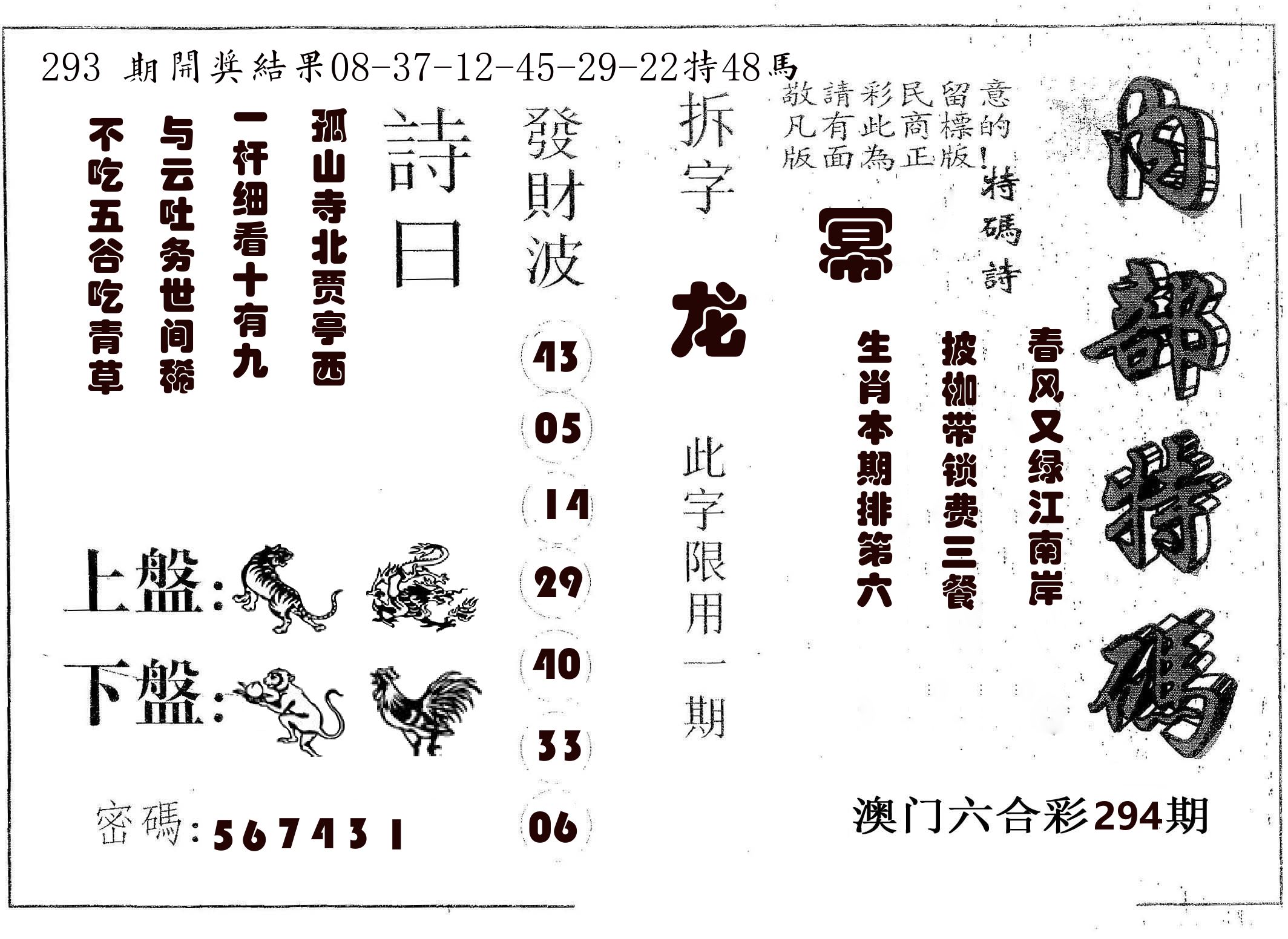 内部特码 第294期