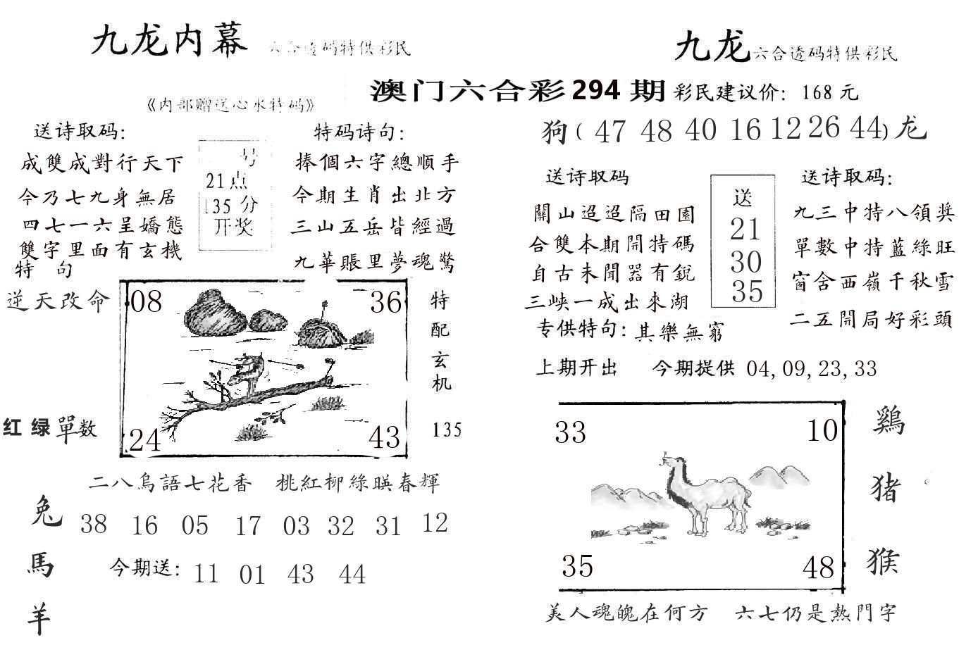 九龙内幕 第294期
