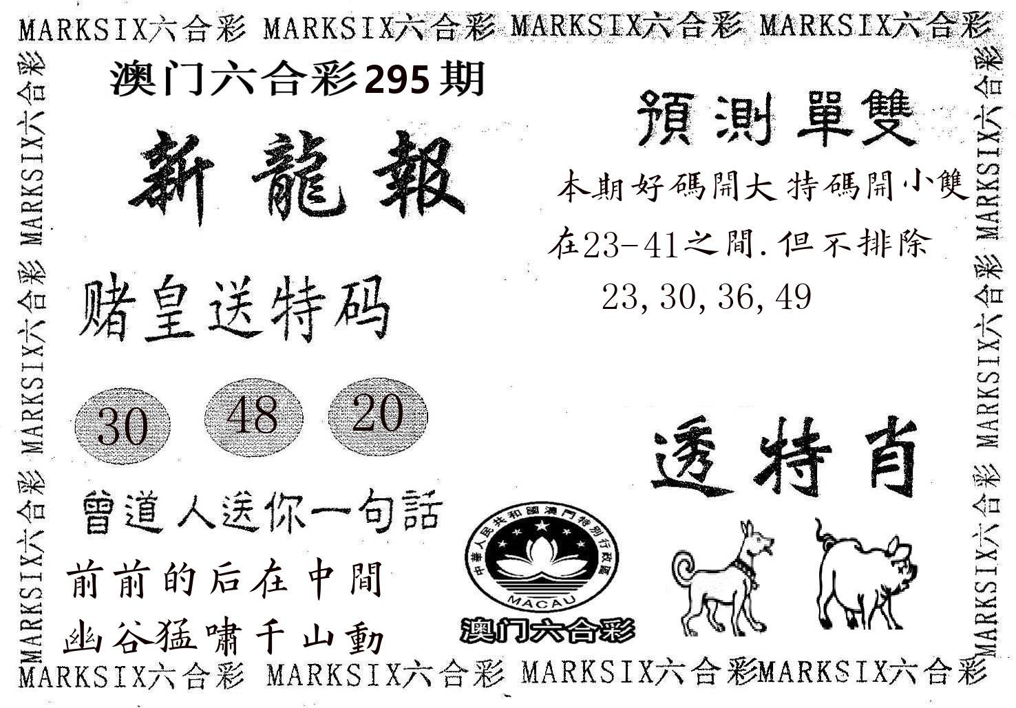 新龙报 第295期