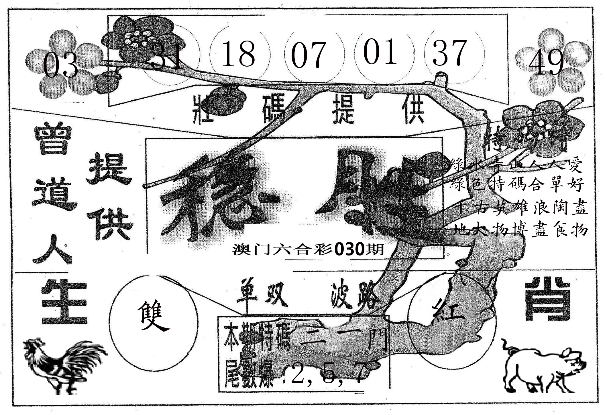 稳胜 第30期