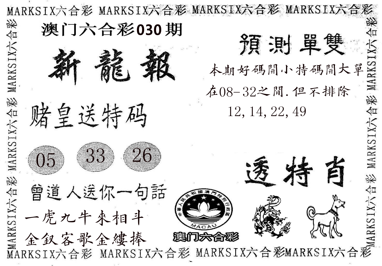新龙报 第30期