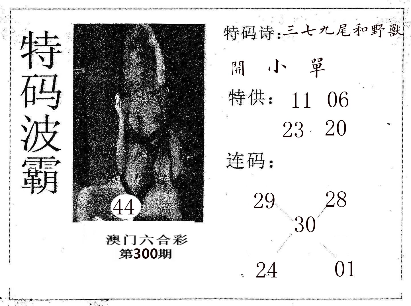 特码波霸 第300期