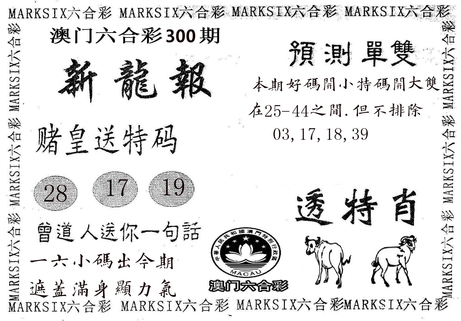 新龙报 第300期