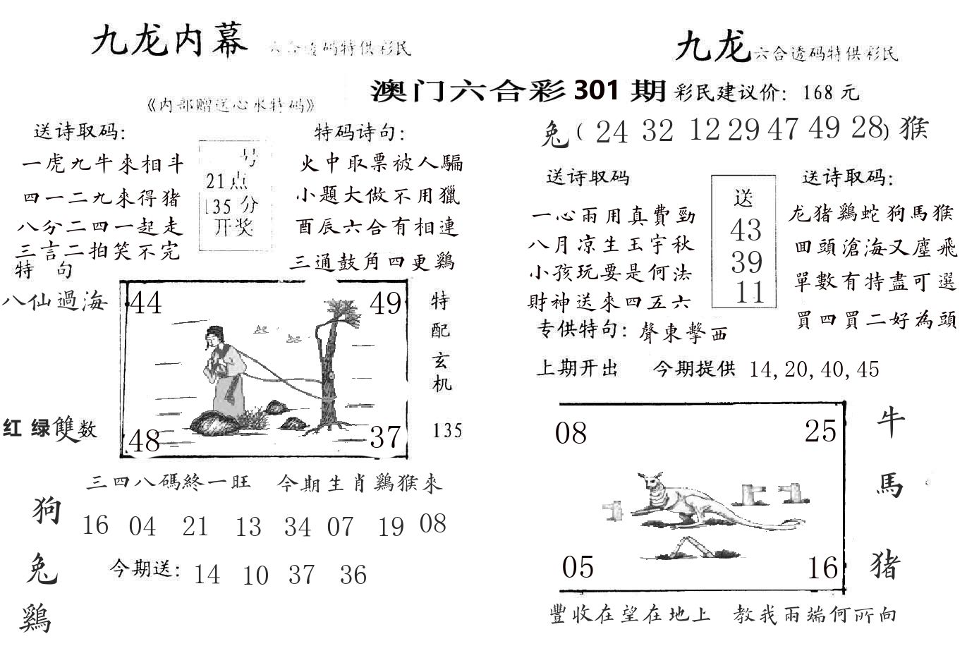 九龙内幕 第301期