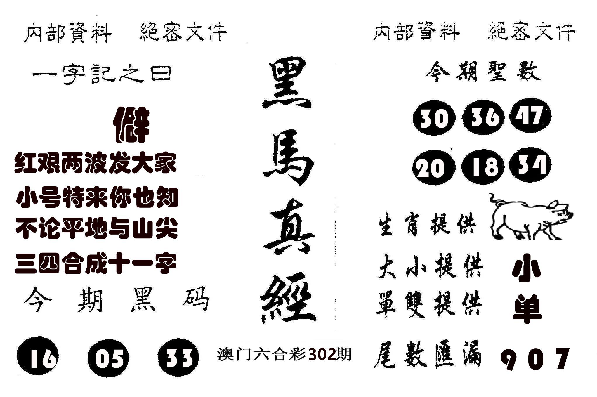 黑马真经 第302期