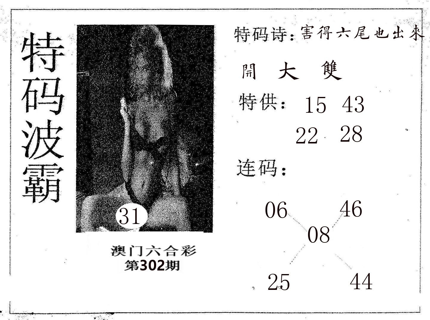 特码波霸 第302期