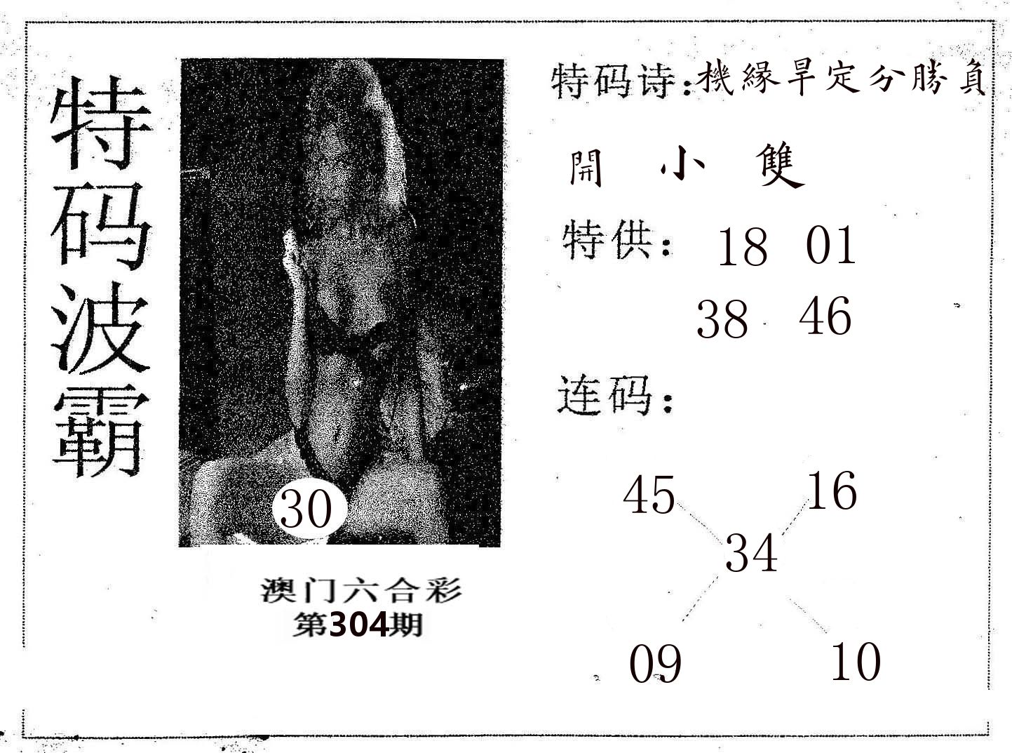 特码波霸 第304期