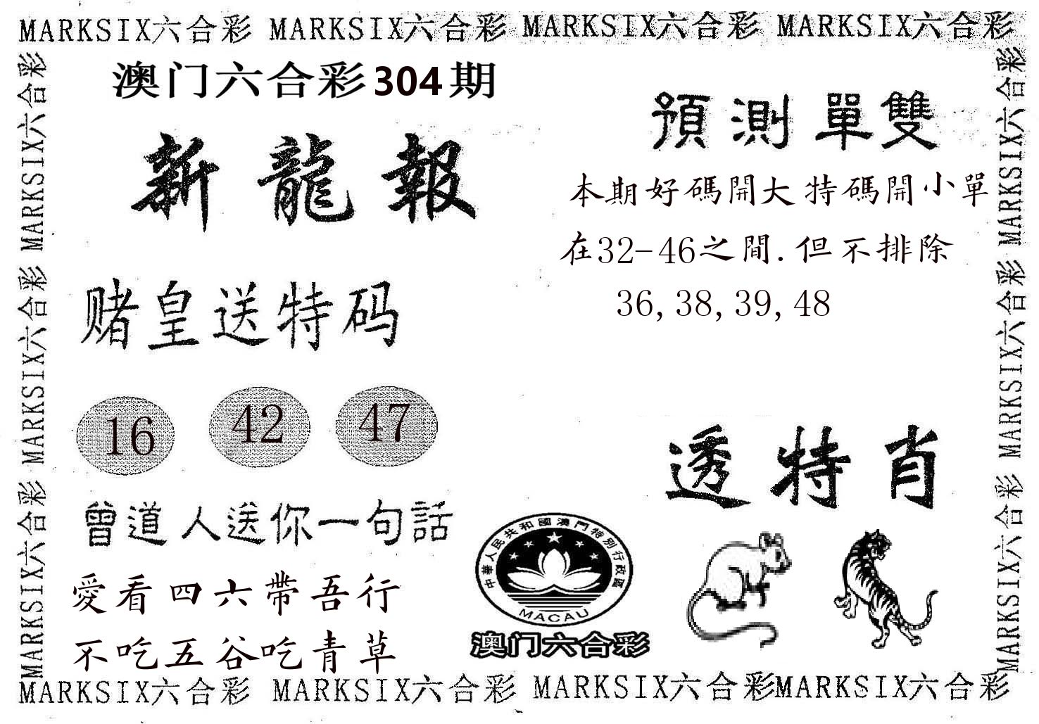 新龙报 第304期