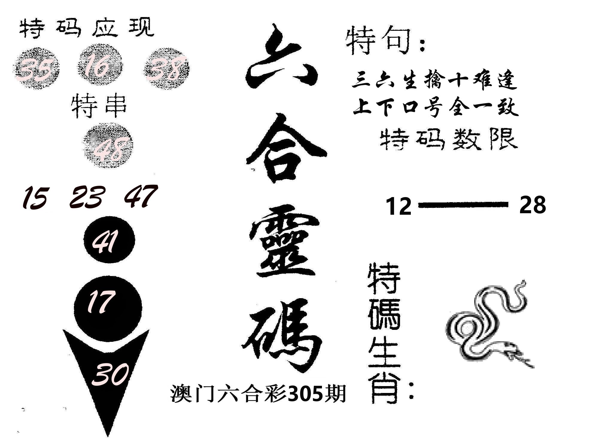 六合灵码 第305期