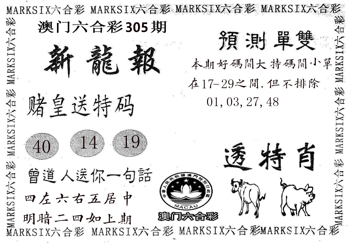 新龙报 第305期