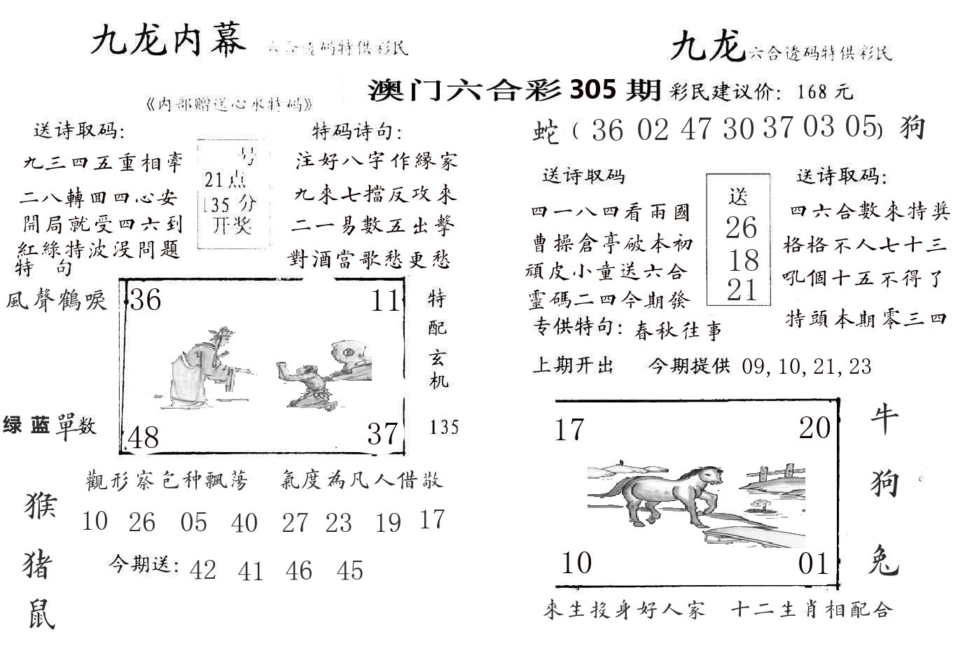 九龙内幕 第305期