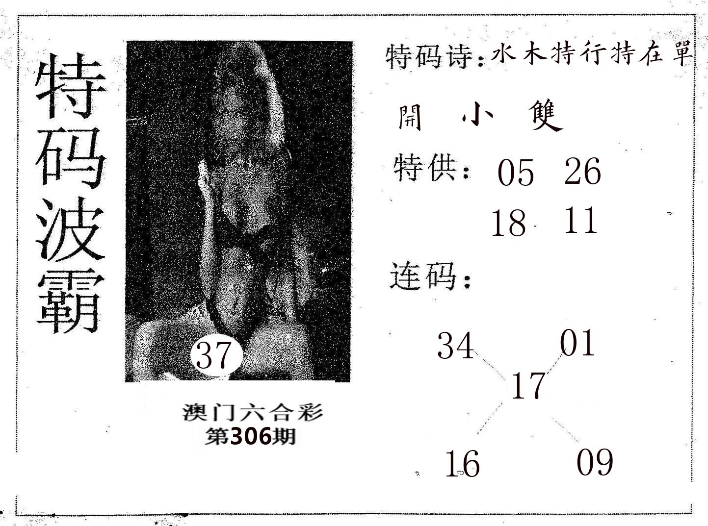 特码波霸 第306期