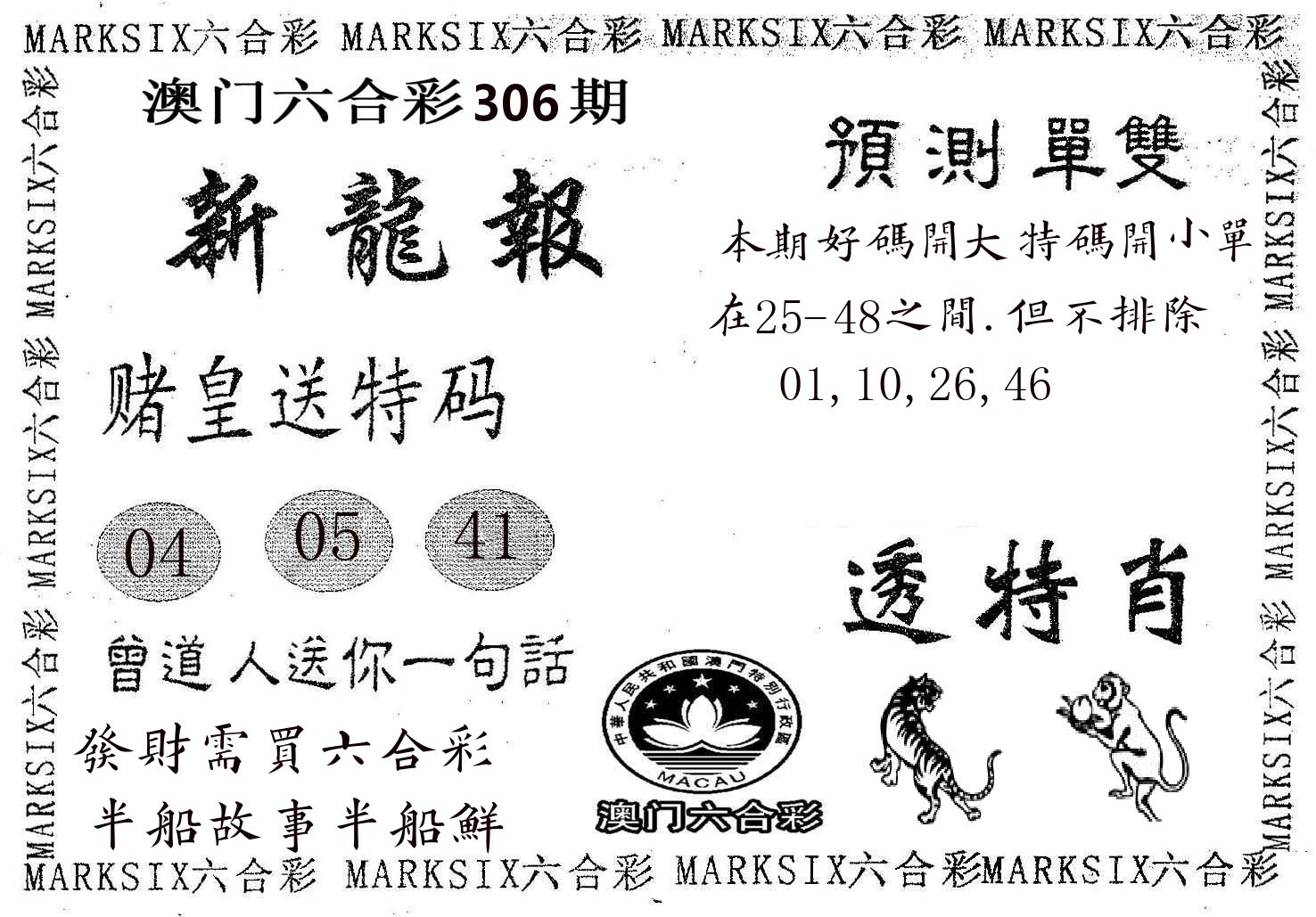 新龙报 第306期