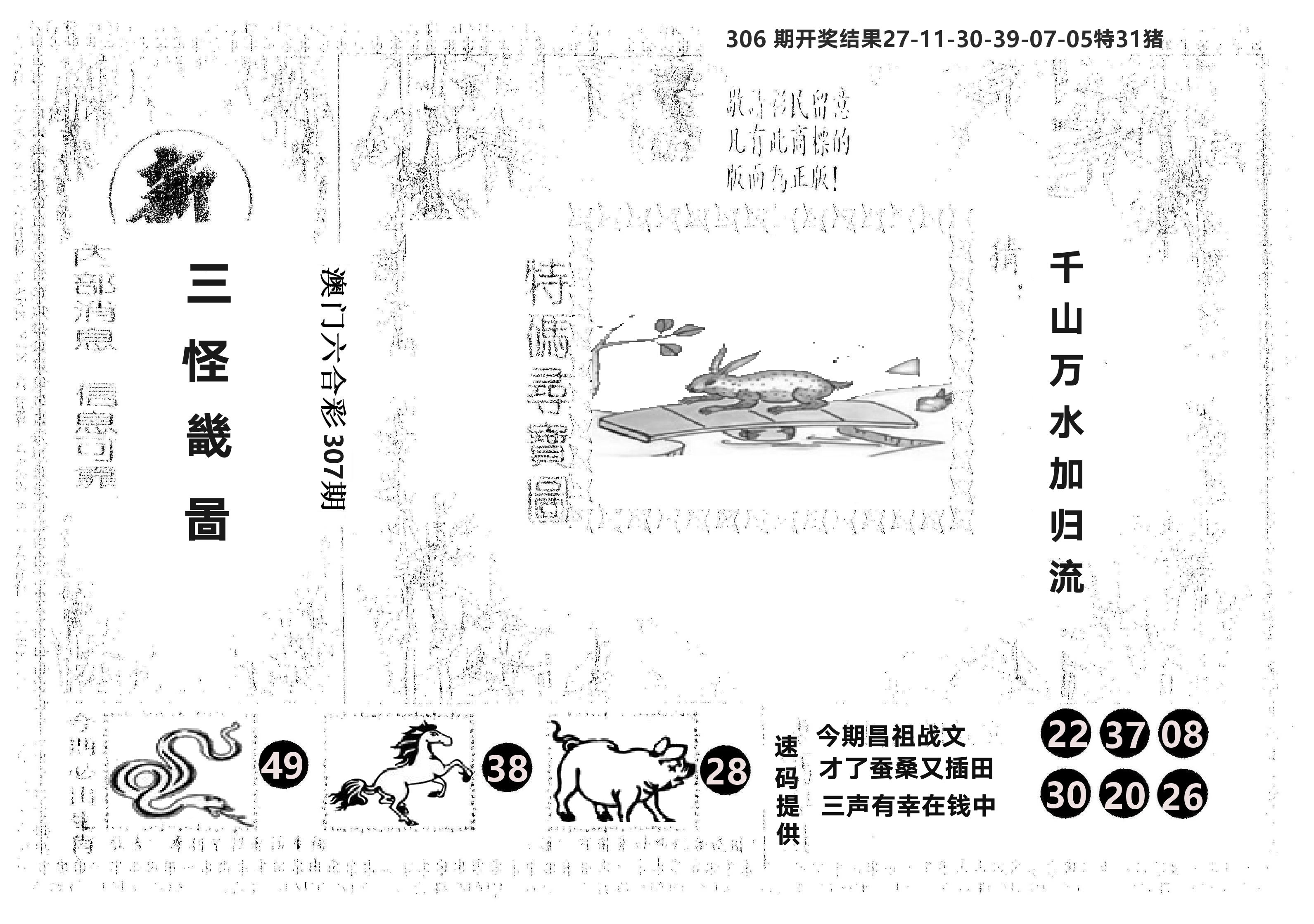 另版新三怪 第307期