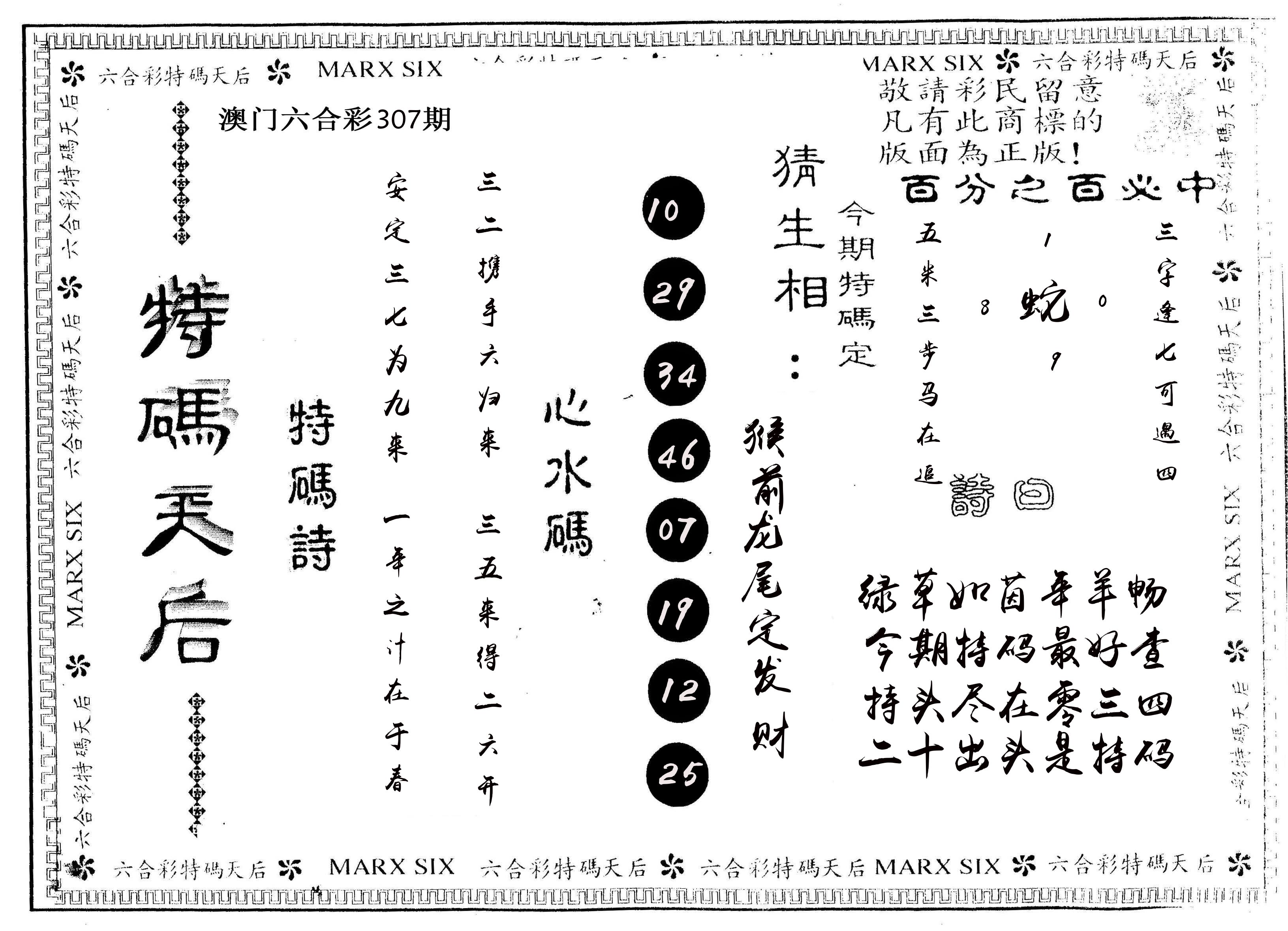 另版特码天后 第307期