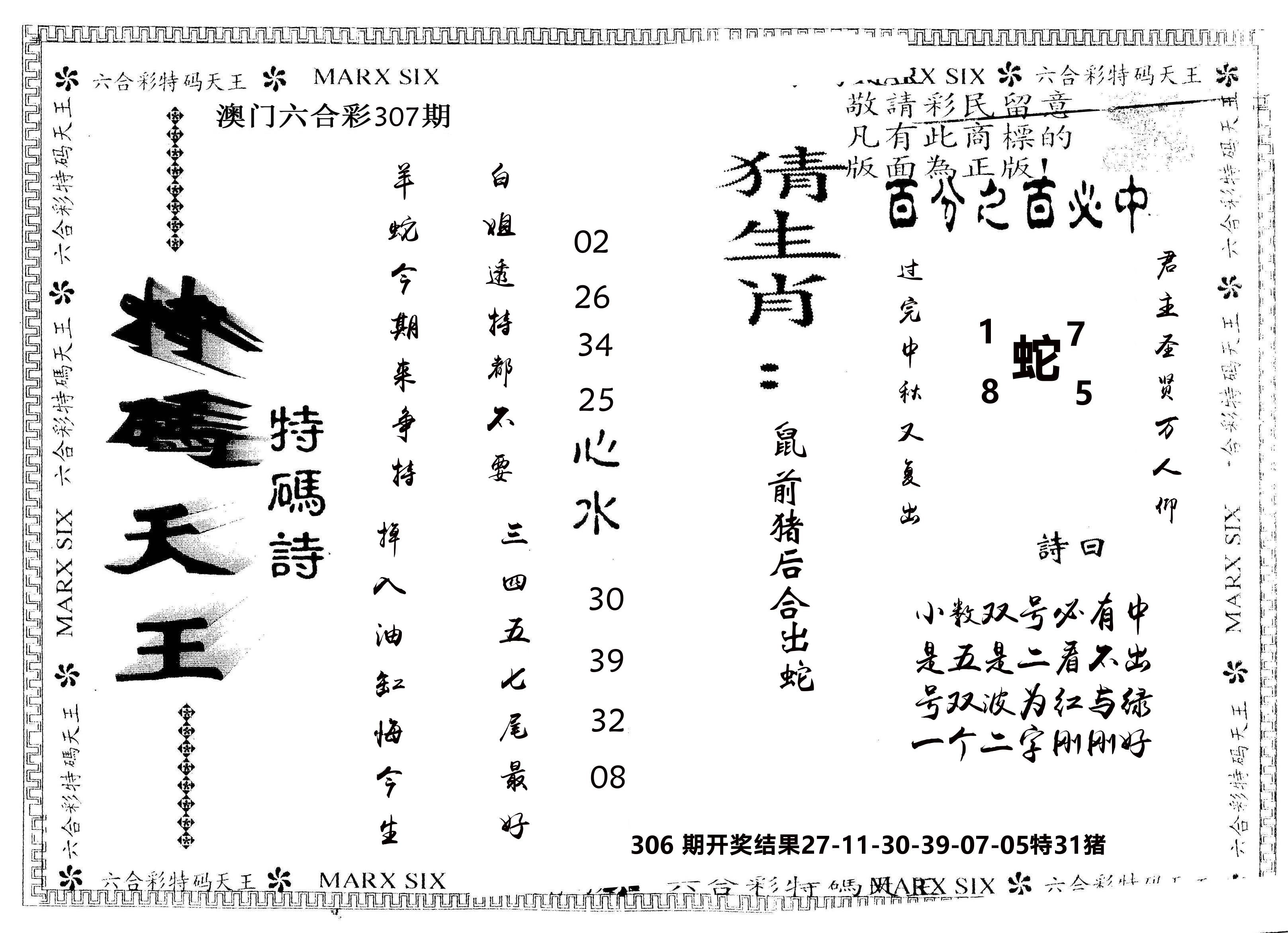 另版特码天王 第307期