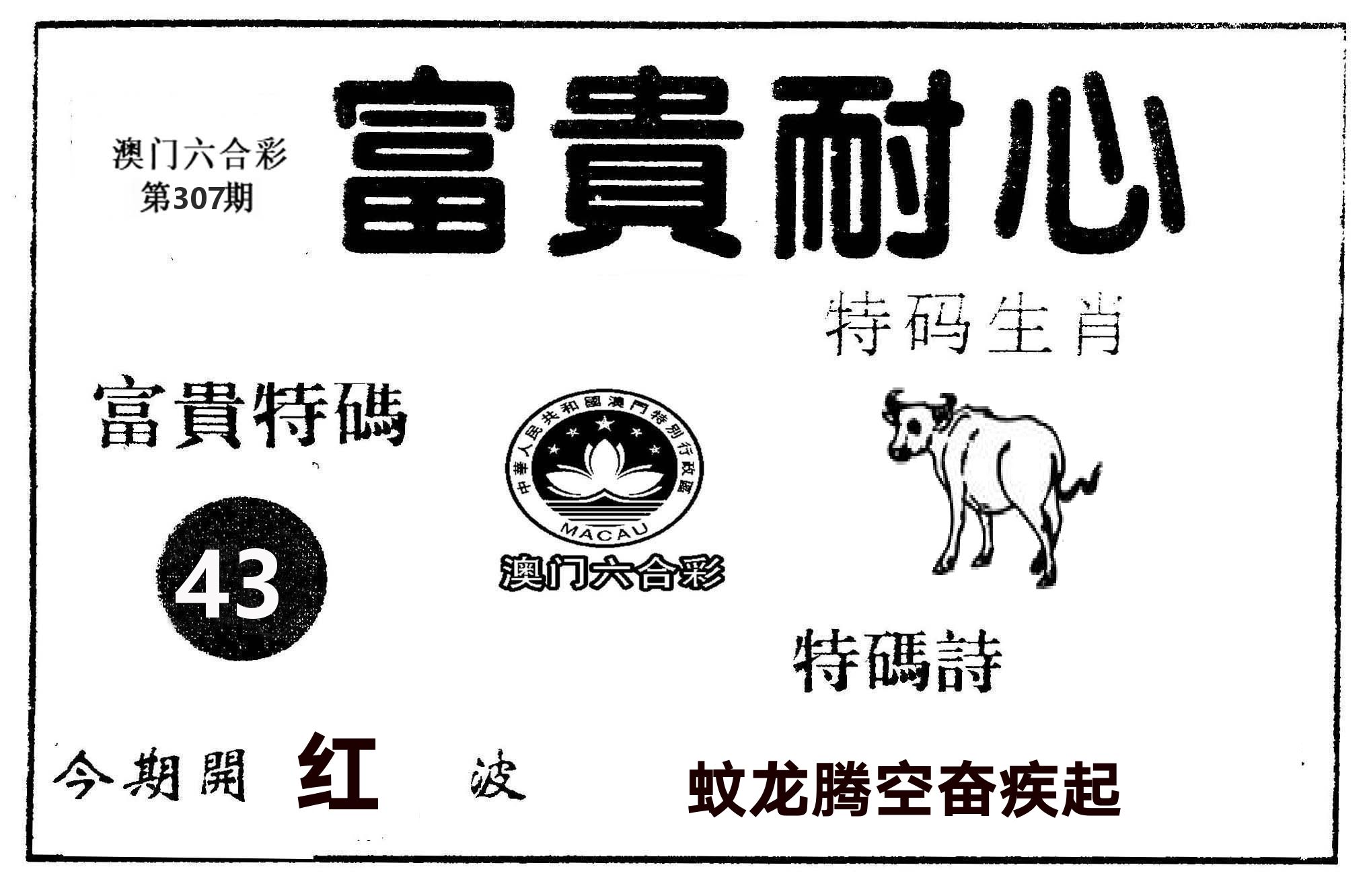 富贵耐心 第307期