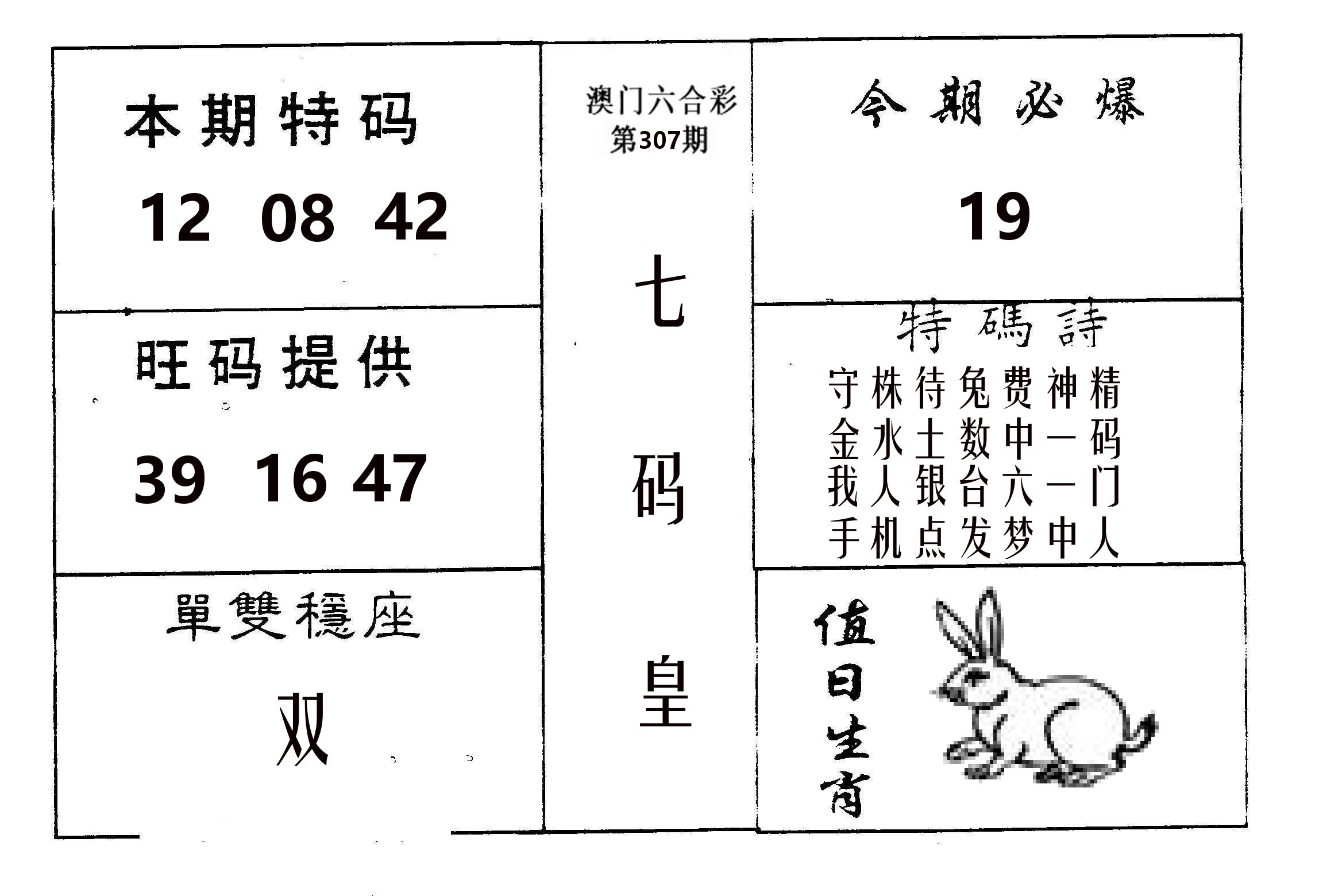 七码皇 第307期