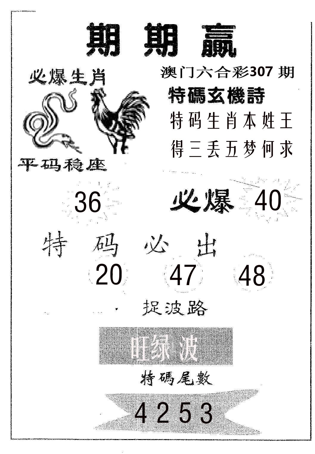 期期赢 第307期