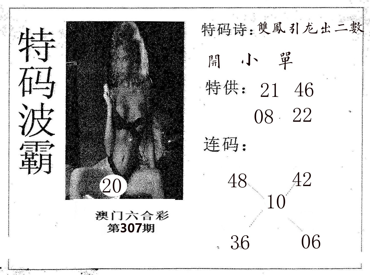 特码波霸 第307期